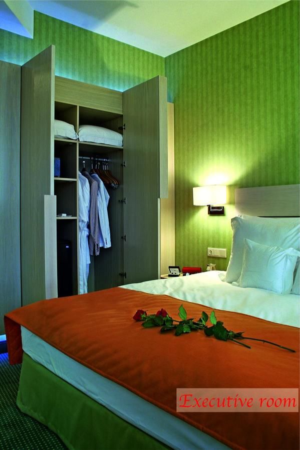 Отель Hotel Golden Tulip Ana Tower Sibiu Сибиу-33