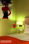 Отель Hotel Golden Tulip Ana Tower Sibiu Сибиу-2