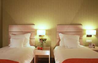 Отель Hotel Golden Tulip Ana Tower Sibiu Сибиу Стандартный двухместный номер с 2 отдельными кроватями-4