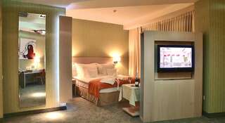 Отель Hotel Golden Tulip Ana Tower Sibiu Сибиу Номер Делюкс с кроватью размера «king-size»-5