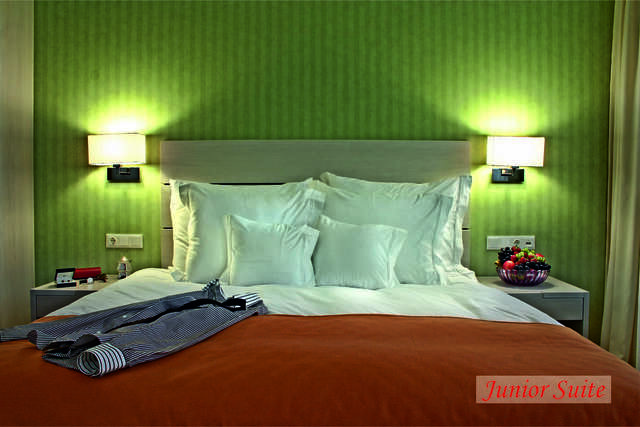 Отель Hotel Golden Tulip Ana Tower Sibiu Сибиу-42